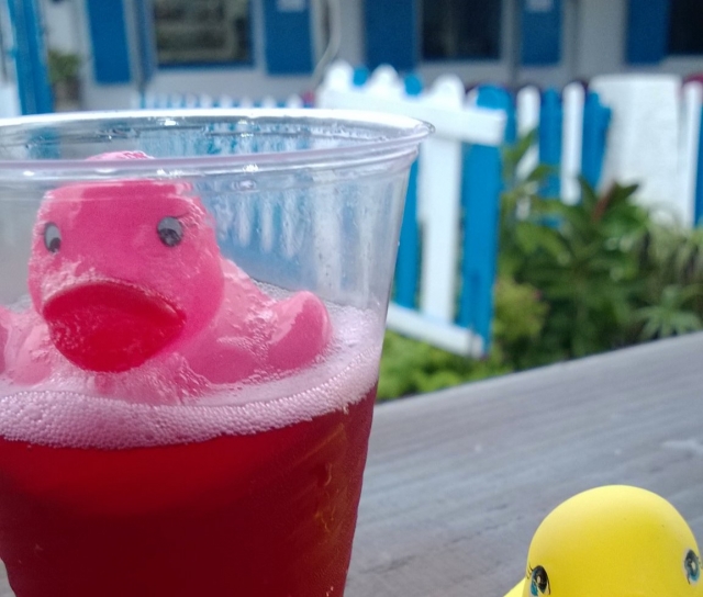 Sangria in der Bicibirra 
