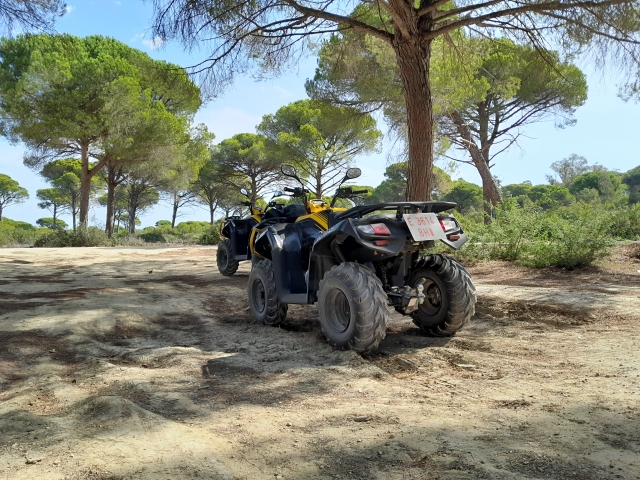  Quads in der Pinares de Conil de la Frontera 