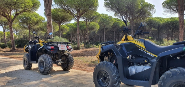  Zweisitzer-Quad-Fahrt in Chiclana de Frontera 