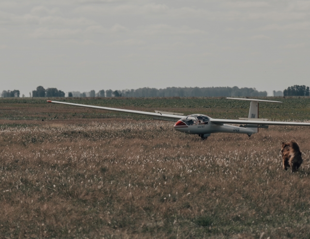  Enjoy a glider flight 