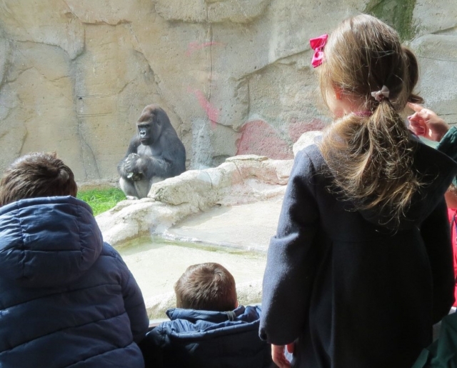  Bambini all'acquario dello zoo di Madrid 
