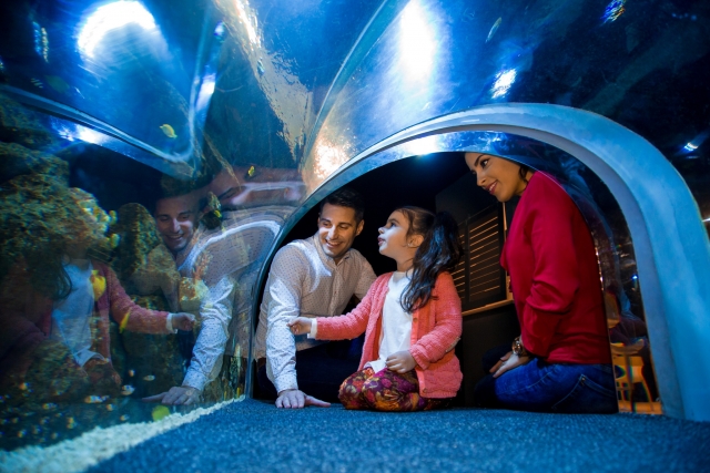  Aquarium en famille 
