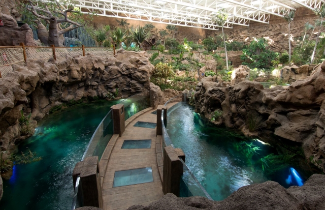 Installations de l'aquarium 