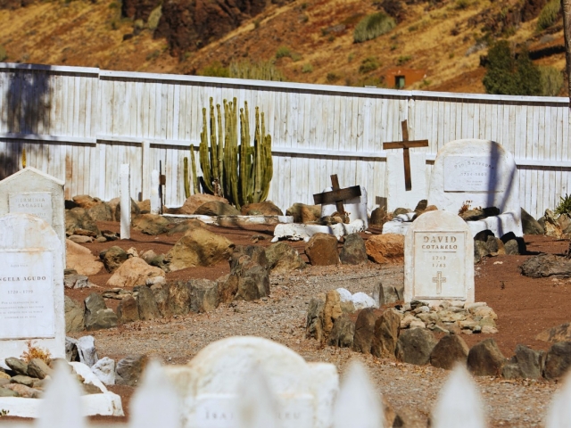  Friedhof der Stadt 
