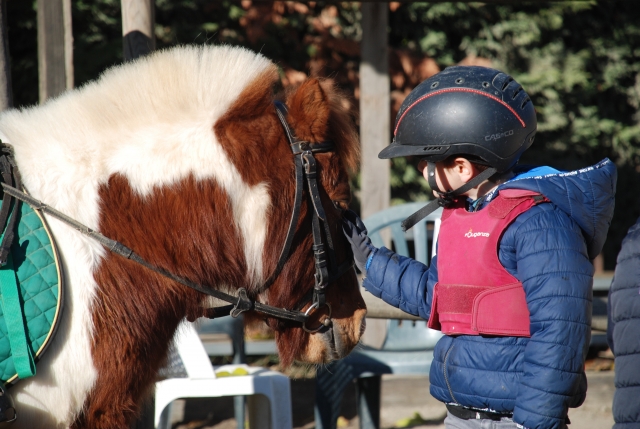  Kind streichelt ein Pony