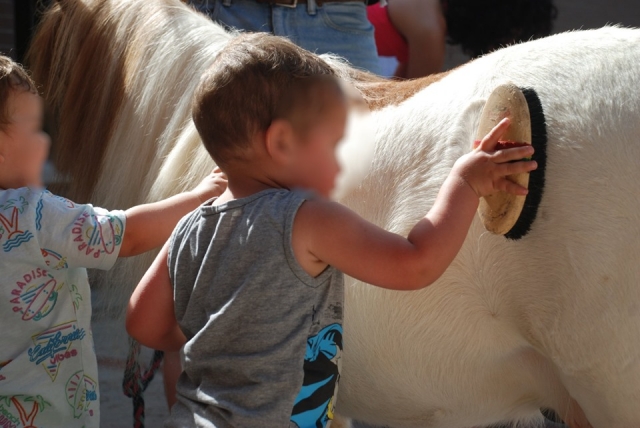  I piccoli spazzolano i pony 