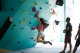 Escalada libre en rocódromo, La Zubia, 1 día