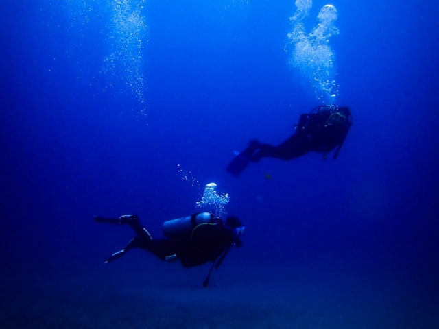  Explore the seabed of Fuerteventura 