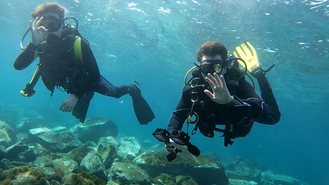 Baptism of diving in Fuerteventura 