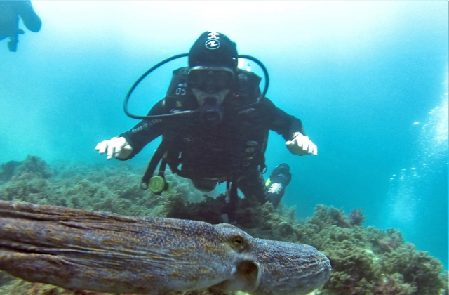 Con el equipo de buceo en Calahonda