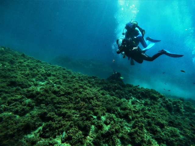 Bautismo de buceo en Calahonda