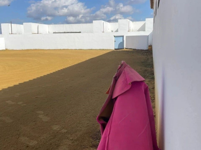 Recorta a las vaquillas en Carmona