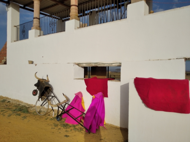 Disfruta de una capea en Carmona