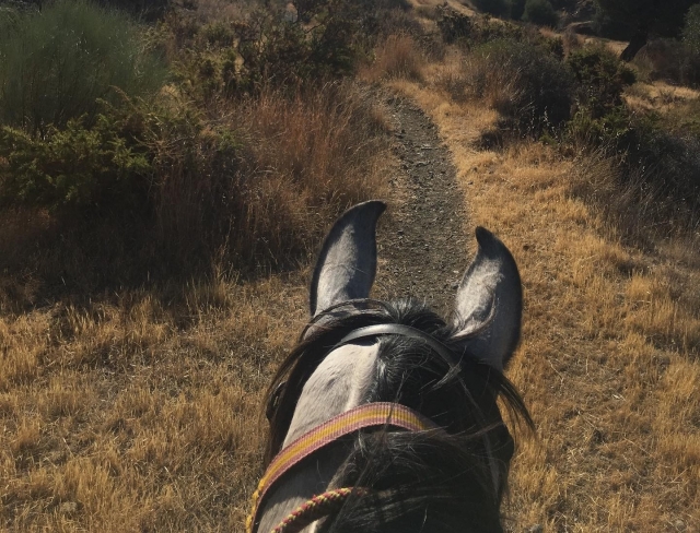 Cabalgamarra por la Sierra de Mijas