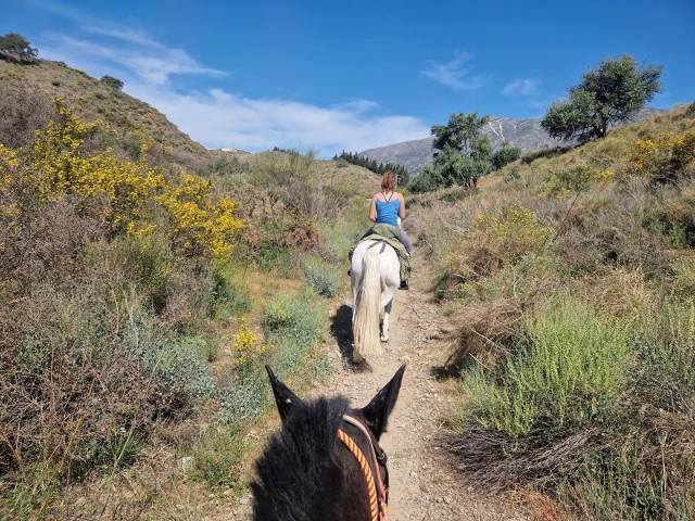 Cabalga a lomos de un caballo en la Sierra de Mijas