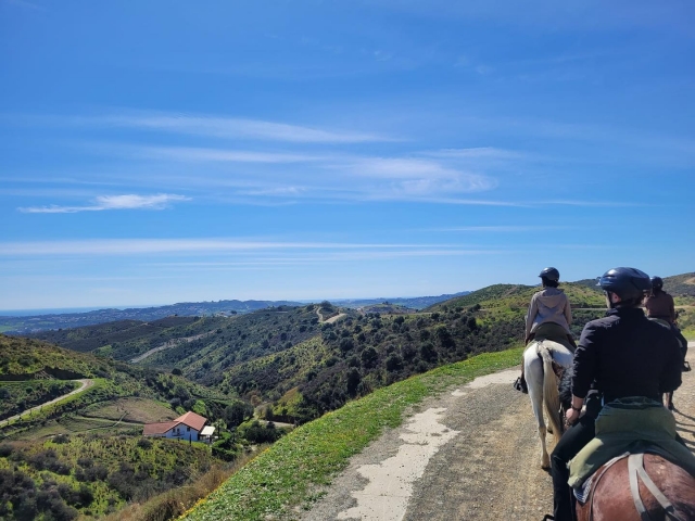 Disfcabalgamarra de la Sierra de Mijas