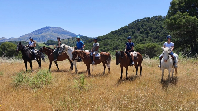 Horseback riding route through Puerto de la Mujer, 3 hours