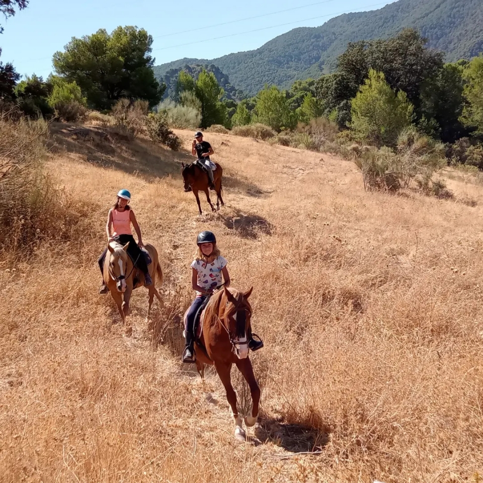 Cabalga a lomos de un caballo