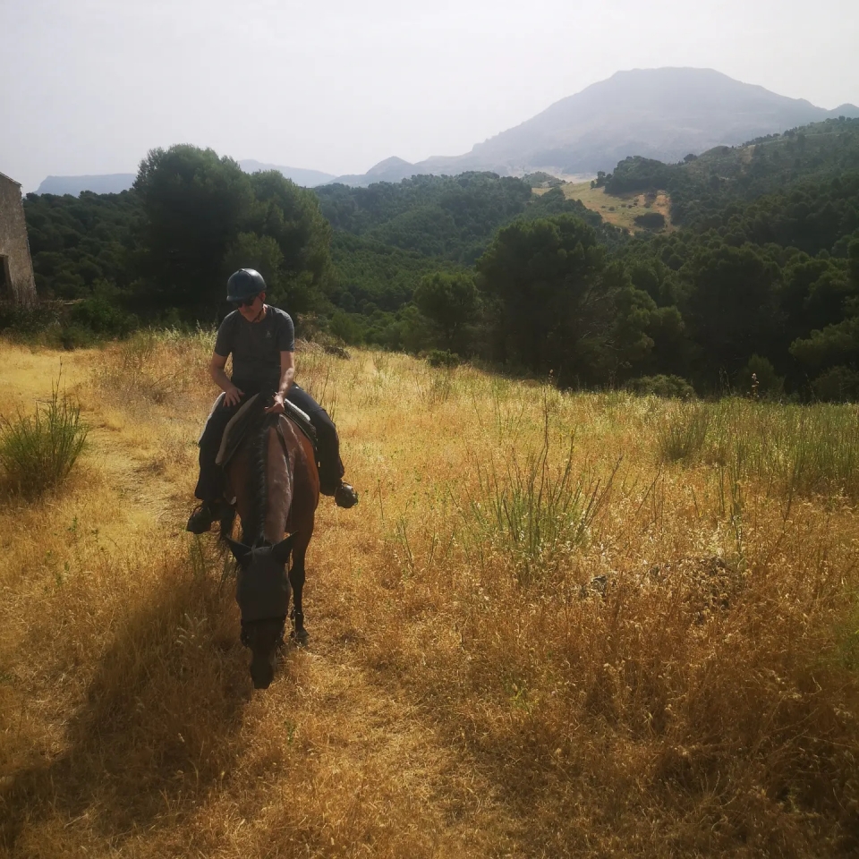 Paseo a caballo por los caminos de Malaga