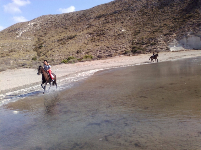 En la orilla del mar a lomos de un caballo