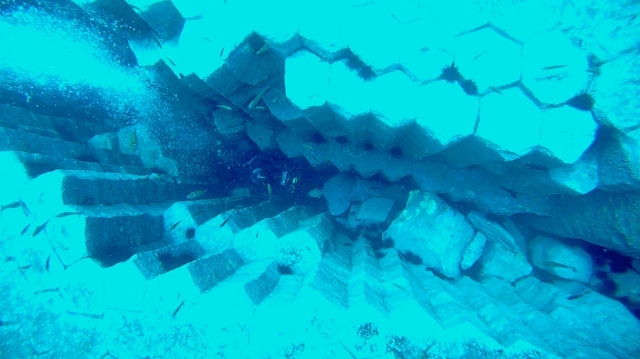  Diving in Tenerife 