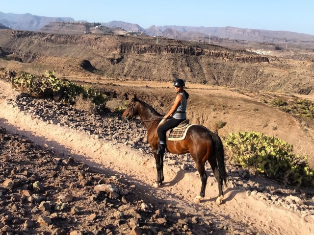 Recorre los caminos de Maspalomas con nuestros caballos