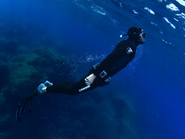 Explorez les fonds marins de 