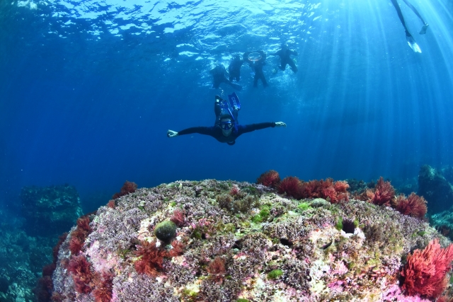  Pratiquez le snorkeling aux îles Medes 
