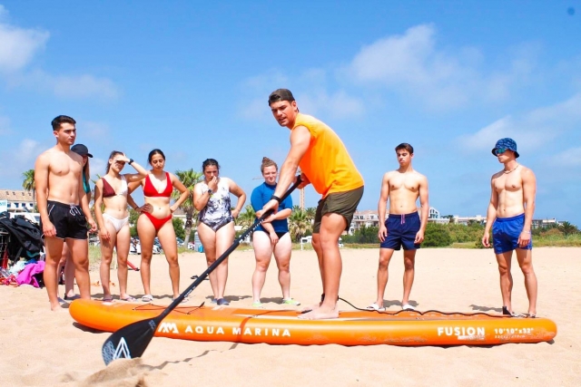  Nehmen Sie unsere SUP-Materialien 