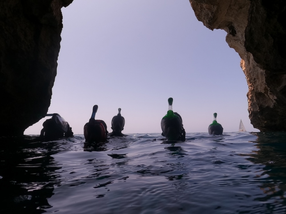  Snorkeling dans les grottes de Minorque 
