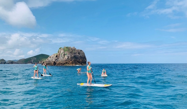 Paddle surf all day 