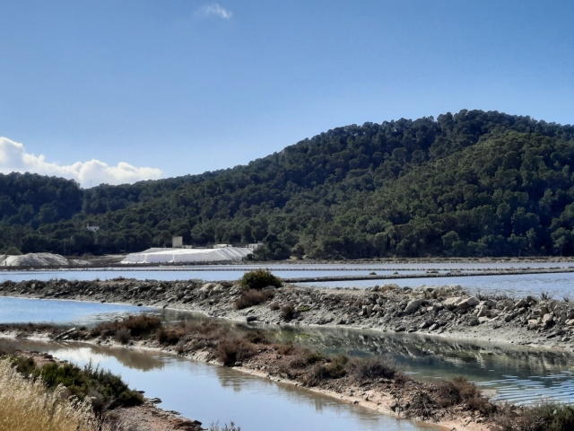Las Salinas de Ibiza en bicicleta