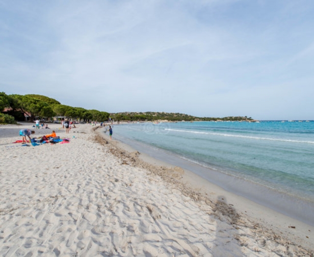 Disfruta de un paseo en bici por la playa de las Salinas