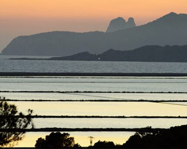Explora el Parque Natural de Las salinas