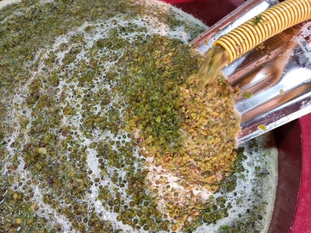 Proceso de elaboracion de nuestros vinos