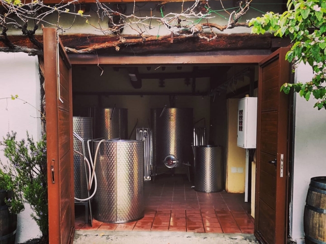 Visita enoturistica en nuestras bodegas