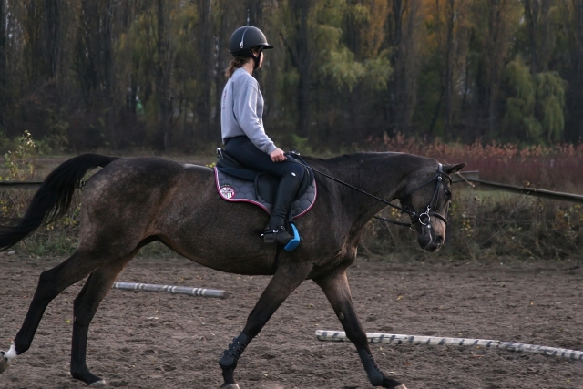 Reitroute in Riaza 