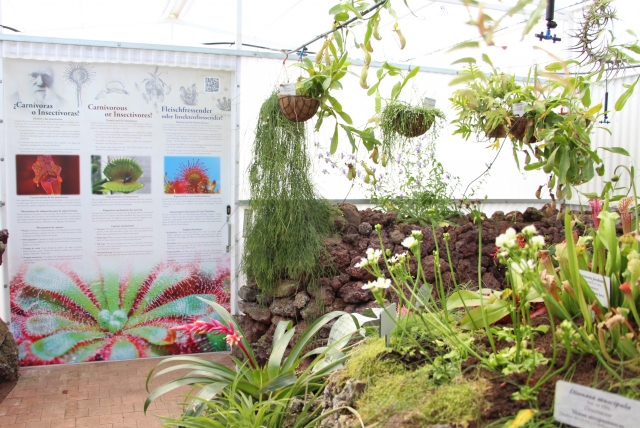  Jardins de experiência das Pirâmides de Güímar 