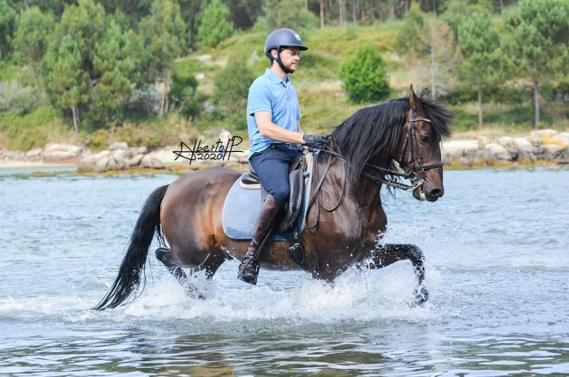 Excursión a caballo por el río