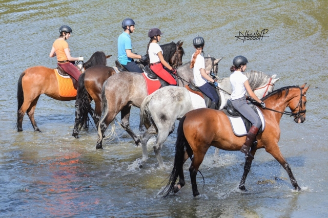  Excursion along the beach of O Grove, Galicia 