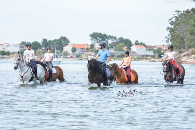  沿着埃尔河口 (El Estuario) 海滩的带导游的骑马路线