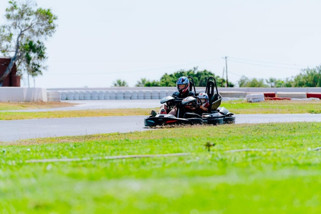  Family karts 