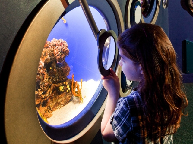 在帕尔马水族馆享受冒险 