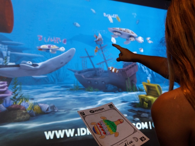  在马略卡岛帕尔马水族馆观察海洋生物 Palma de Mallorca 