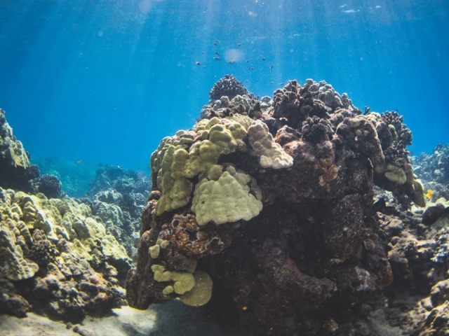  马洛卡水族馆