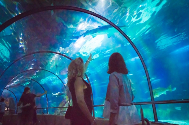  海洋馆 
