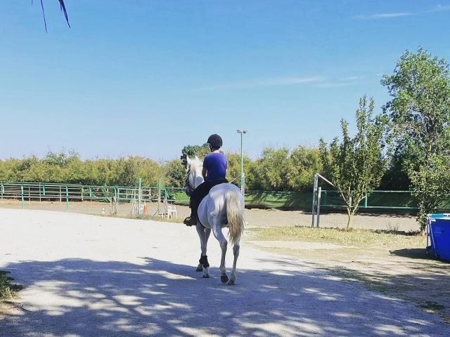  Passeios a cavalo em Empuriabrava