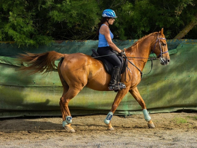  Passeios a cavalo em Castelló d'Empúries 