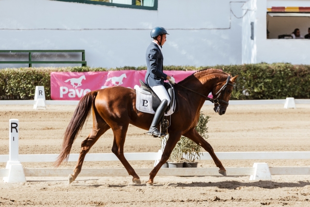 Concursando en Zafra