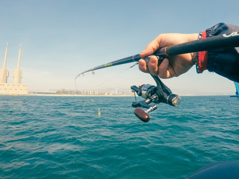 Salida de pesca en Barcelona Salida de pesca en Barcelona